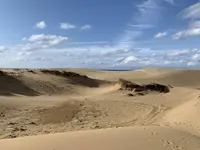 鳥取砂丘の写真・動画_image_323697