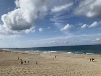 鳥取砂丘の写真・動画_image_323698