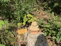 砂の美術館の写真・動画_image_323738