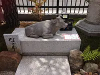 六波羅蜜寺の写真・動画_image_32379