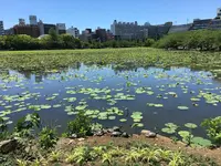 不忍池辯天堂の写真・動画_image_323804