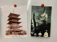 天王寺の写真・動画_image_323813