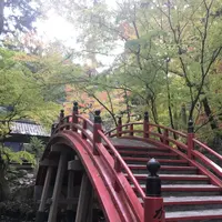 今高野山龍華寺の写真・動画_image_323840