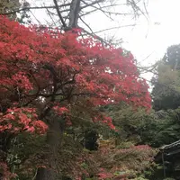 今高野山龍華寺の写真・動画_image_323841