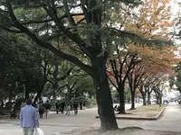 鶴舞公園の写真・動画_image_323972
