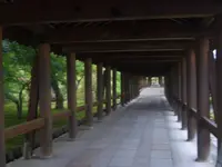 東福寺の写真・動画_image_324575