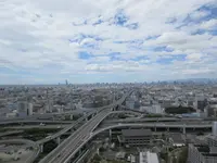 東大阪市役所の写真・動画_image_324794