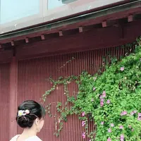 ひがし茶屋街の写真・動画_image_325719