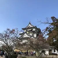 彦根城の写真・動画_image_325777