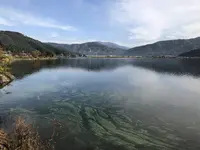 徳山鮓の写真・動画_image_325926