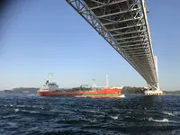 鳴門渦潮の写真・動画_image_326083