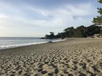 桂浜の写真・動画_image_326090