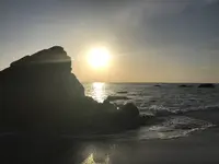 桂浜の写真・動画_image_326364