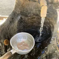 株湯の写真・動画_image_326374