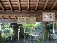 三朝神社の写真・動画_image_326377
