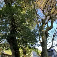 三朝神社の写真・動画_image_326381