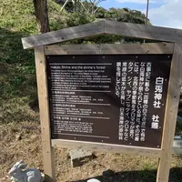 白兎神社の写真・動画_image_326392