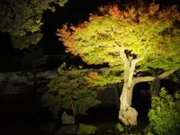 金沢城公園の写真・動画_image_326413