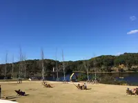 メッツァビレッジの写真・動画_image_326608