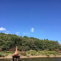 飛行おにのジップラインアドベンチャーの写真・動画_image_326634