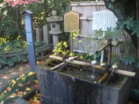 長建寺の写真・動画_image_327027
