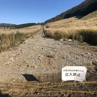 仙石原すすき草原の写真・動画_image_327063