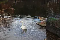 道の駅 田園プラザかわばの写真・動画_image_327290