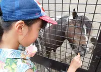 栗山公園の写真・動画_image_327581