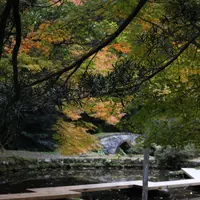 尾山神社の写真・動画_image_327647