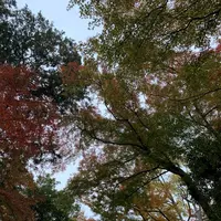 玉泉院丸庭園の写真・動画_image_327650