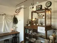 Chipakoyaの写真・動画_image_328155