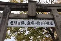 安井金比羅宮の写真・動画_image_328161