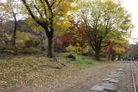 蹴上インクラインの写真・動画_image_328167