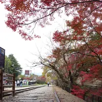 蹴上インクラインの写真・動画_image_328168