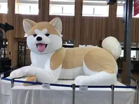 秋田駅の写真・動画_image_328180