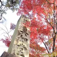 真如堂（真正極楽寺）の写真・動画_image_328195