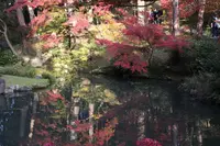 金戒光明寺の写真・動画_image_328197