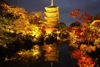 東寺（教王護国寺）の写真・動画_image_328200