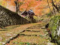 百済寺の写真・動画_image_328332