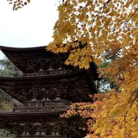 湖東三山西明寺 紅葉名所の写真・動画_image_328336