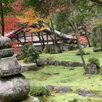 湖東三山西明寺 紅葉名所の写真・動画_image_328337
