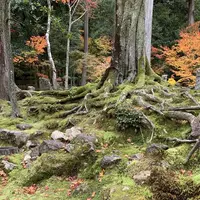 湖東三山西明寺 紅葉名所の写真・動画_image_328338