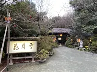千畳敷の写真・動画_image_329748