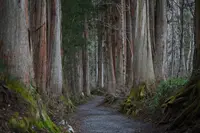 戸隠神社の写真・動画_image_329992