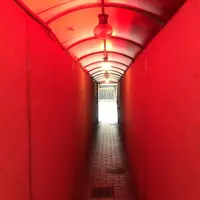 Okaffe kyotoの写真・動画_image_330002