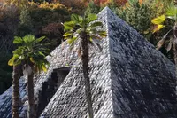 太陽公園　の写真・動画_image_330049