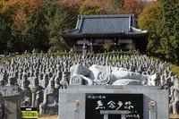 太陽公園　の写真・動画_image_330053