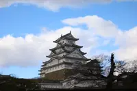 姫路市立動物園の写真・動画_image_330065