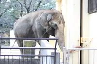 姫路市立動物園の写真・動画_image_330066