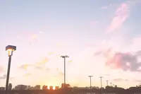 ハワイ大学 - マノアの写真・動画_image_330430